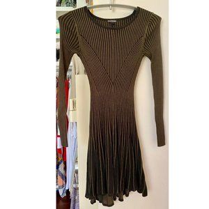 Express XS Sweater Stripe Dress